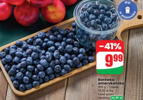 Borówka amerykańska