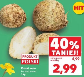 Polski seler korzeń