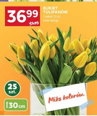 Bukiet tulipanów