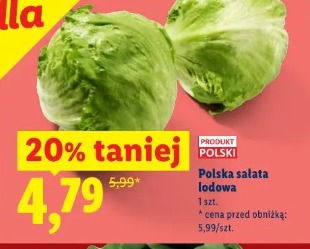 Polska sałata lodowa