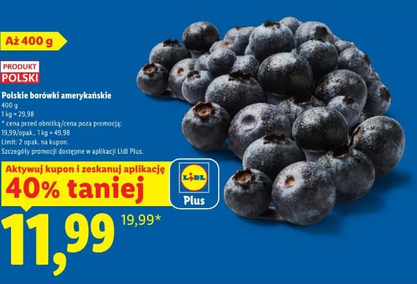 Polskie borówki amerykańskie