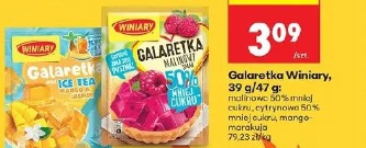 Galaretka Winiary