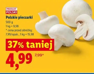 Polskie pieczarki