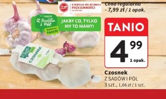 Czosnek Z Sadów i Pól