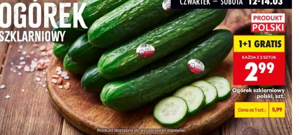 Ogórek szklarniowy polski
