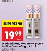 Wodoodporny korektor w płynie Eveline Camouflage