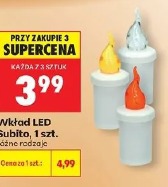 Wkład LED Subito, 1 szt.