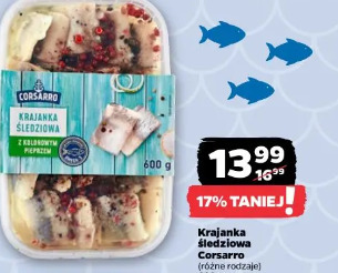 Krajańka śledziowa Corsarro