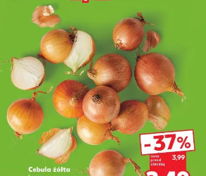 Cebula żółta