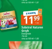 Substral Naturen Grzyb Evergreen