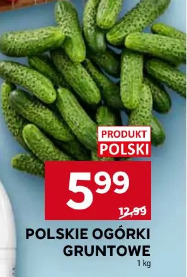 Polskie ogórki gruntowe