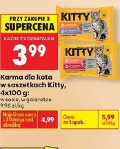 Karma dla kota w saszetkach Kitty