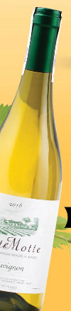 Wino Coste Motte Sauvignon