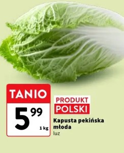 Kapusta pekińska młoda