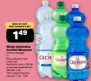 Woda mineralna Cechini Muszyna