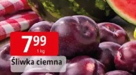 Śliwka ciemna