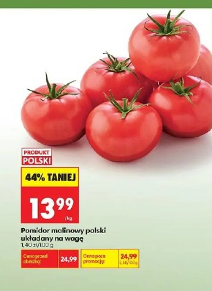 Pomidor malinowy polski