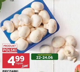 Pieczarki