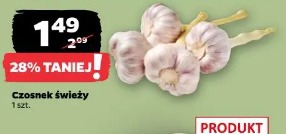 Czosnek świeży