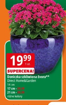 Doniczka szkliwiona Evora Direct Home&Garden