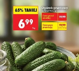 Ogórek gruntowy