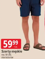 Szorty męskie