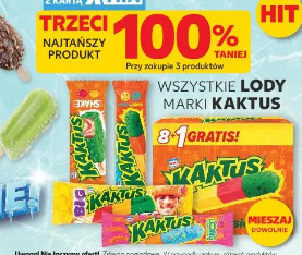 Wszystkie lody marki Kaktus