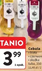Cebula 