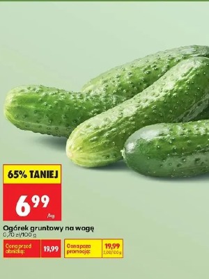 Ogórek gruntowy