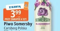 Piwo Somersby Carlsberg Polska