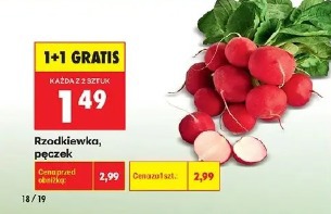 Rzodkiewka pęczek