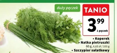 Koperek natka pietruszki szczypior sałatkowy z sadów i pól