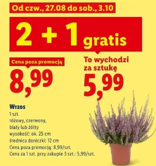 Wrzos