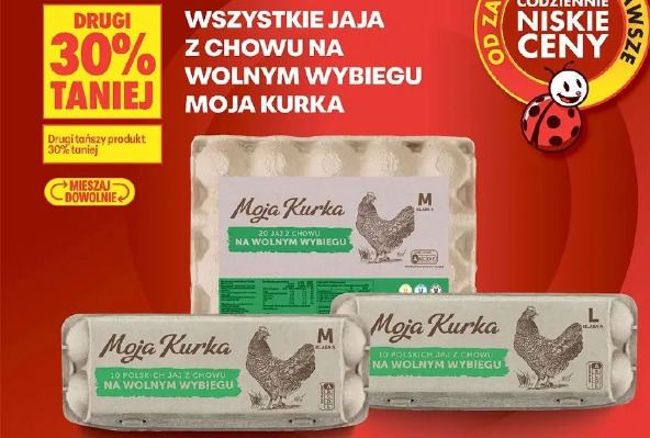 Wszystkie jaja z chowu na wolnym wybiegu Moja Kurka