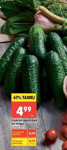 Ogórek gruntowy na wagę