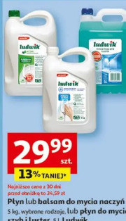 Ludwik płyn lub balsam do mycia naczyń lub płyn do mycia szyb i luster