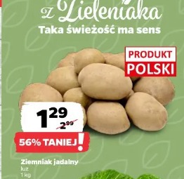 Ziemniak jadalny
