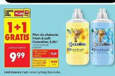 Płyn do płukania Fresh & Soft Coccolino