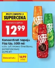 Koncentrat napoju Fizz Up
