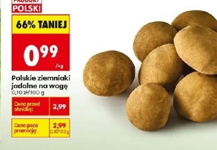 Polskie ziemniaki jadalne na wagę
