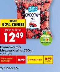 Owocowy mix Mroźna Kraina