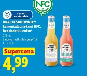 Bracia Sadownicy Lemoniada z sokami NFC, bez dodatku cukru limonka, malina lub grejpfrut
