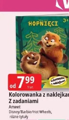 Kolorowanka z naklejkami/Z zadaniami Ameet