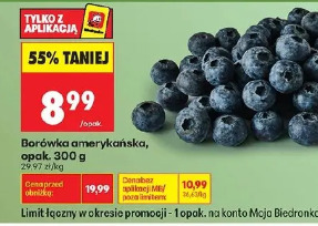 Borówka amerykańska