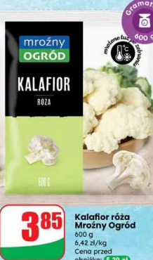 Kalafior róża Mroźny Ogród