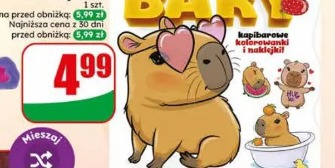 Kolorowanka kapibary z naklejkami