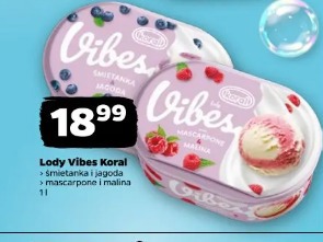 Lody Vibes Koral
