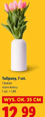 Tulipany