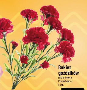 Bukiet goździków Projektdecor