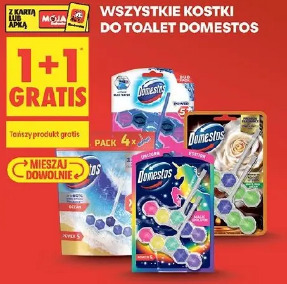 Wszystkie kostki do toalet Domestos